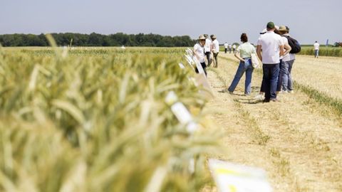 Les premiers résultats de la plateforme Openfield 2023 sont disponibles. Retrouvez le lien en fin d'article.
