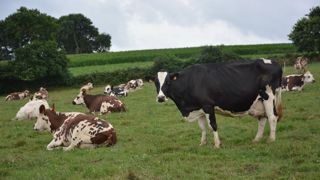 De nombreux leviers existent pour améliorer l'empreinte carbone d'une exploitation.