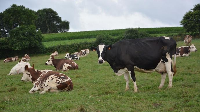 De nombreux leviers existent pour améliorer l'empreinte carbone d'une exploitation.