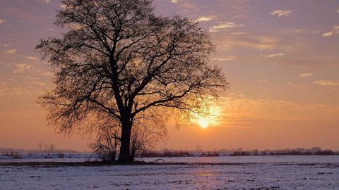 Quel temps pour l'hiver 2023-2024 ? Quel temps pour l'hiver 2023-2024 ?