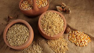 L'utilisation de céréales par le secteur de l'alimentation du bétail est attendue en légère hausse par rapport à la dernière campagne L'utilisation de céréales par le secteur de l'alimentation du bétail est attendue en légère hausse par rapport à la dernière campagne