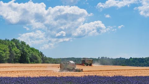Un projet d'arrêté prévoit d'assouplir les délais pour réaliser le conseil stratégique phyto obligatoire