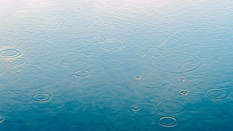 La pluie s'est durablement installée sur la France. La pluie s'est durablement installée sur la France.