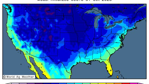Une vague de froid vient toucher les USA.