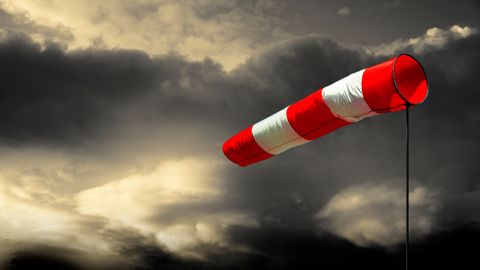 Avec la tempête Ciaran, des vents record ont soufflé sur l'ouest de la France. Avec la tempête Ciaran, des vents record ont soufflé sur l'ouest de la France.