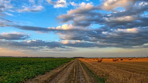 Le ministère de l’agriculture et de la souveraineté alimentaire annonce la mise en œuvre d’un fonds de garantie de 2 milliards d’euros.