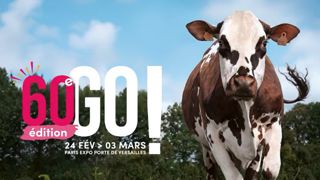 La Normande Oreillette sacrée égérie du prochain Salon de l'agriculture La Normande Oreillette sacrée égérie du prochain Salon de l'agriculture