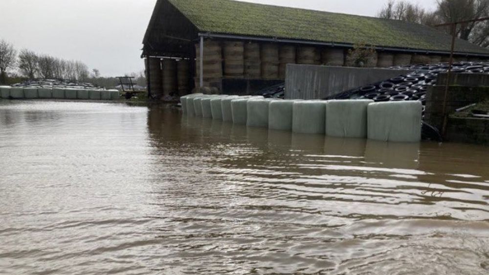 A l'heure actuelle, 118 exploitations agricoles ont été touchées par les inondations dans le Pas-de-Calais. 