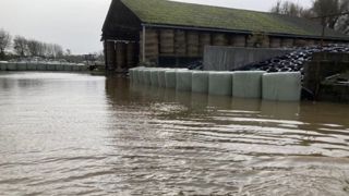 A l'heure actuelle, 118 exploitations agricoles ont été touchées par les inondations dans le Pas-de-Calais. A l'heure actuelle, 118 exploitations agricoles ont été touchées par les inondations dans le Pas-de-Calais.