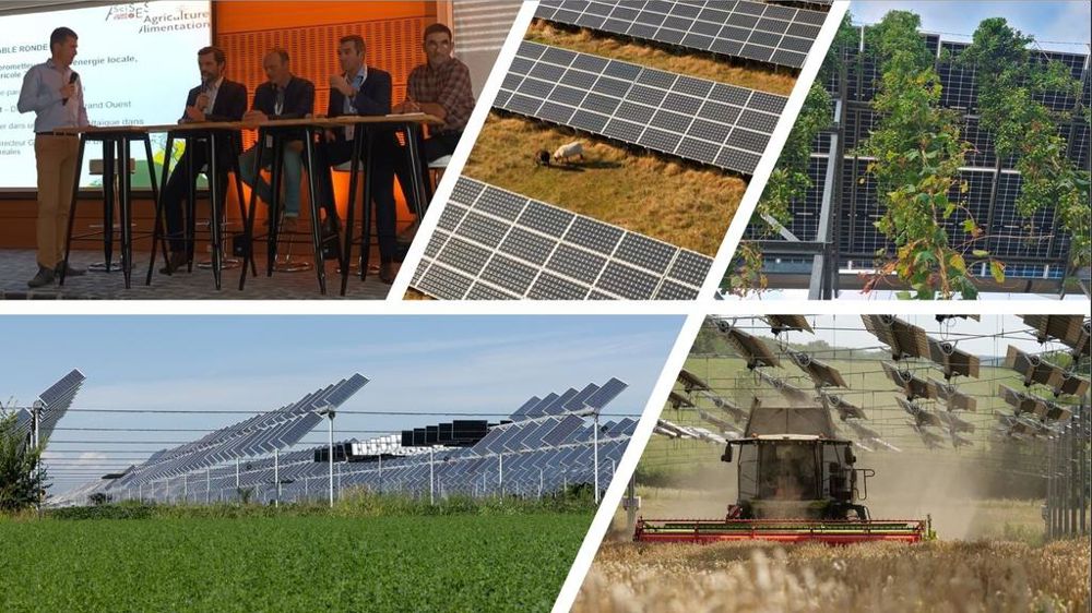Projets d'installations agrivoltaïques