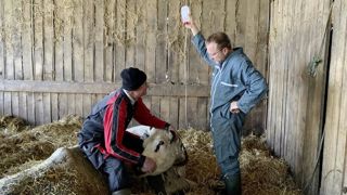 Tout avortement doit faire l’objet d’une déclaration et votre vétérinaire sanitaire doit réaliser un prélèvement sanguin. Tout avortement doit faire l’objet d’une déclaration et votre vétérinaire sanitaire doit réaliser un prélèvement sanguin.
