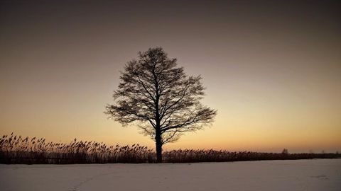 De la neige est attendue dans l'est de la France lundi. De la neige est attendue dans l'est de la France lundi.