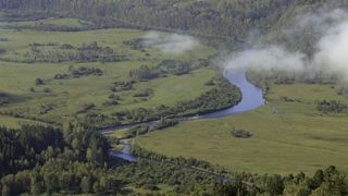 Les « plans nitrates » ne sont « pas en adéquation avec les enjeux » environnementaux selon l'Autorité environnementale. Les « plans nitrates » ne sont « pas en adéquation avec les enjeux » environnementaux selon l'Autorité environnementale.