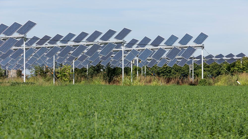 Un décret doit fixer une limite à la perte de rendement provoquée par l'installation de panneaux photovoltaïques sur une exploitation.