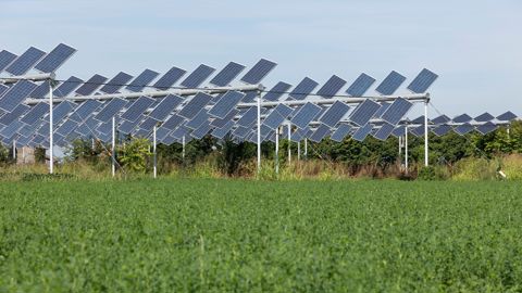Un décret doit fixer une limite à la perte de rendement provoquée par l'installation de panneaux photovoltaïques sur une exploitation.