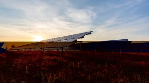 Les chambres d'agriculture demandent des garde-fous pour encadrer la production agrivoltaïque.