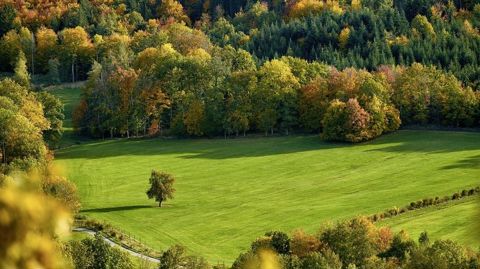 L'automne 2023 a été marqué par des températures exceptionnelles. L'automne 2023 a été marqué par des températures exceptionnelles.