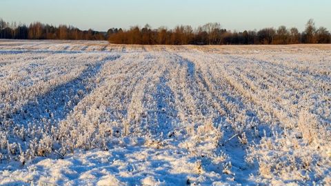 Les mois de janvier et février s'annoncent froids. Les mois de janvier et février s'annoncent froids.