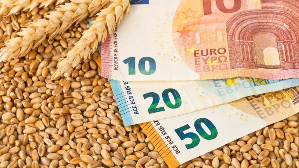 Grains de blé épis de blé argent euros