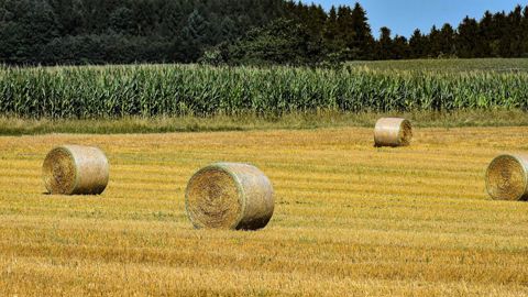 Compte tenu de la taxation actuelle sur les terres agricoles, les propriétaires de foncier sont incités à changer la destination agricole de leur bien pour en tirer une rentabilité.