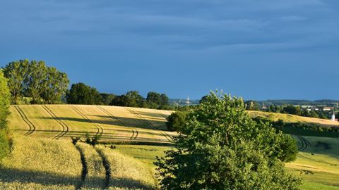 Le solde des aides Pac et de l'ICHN en cours de versement depuis le 7 décembre.
