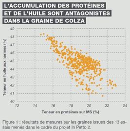 Teneur en huile aux normes  du colza en fonction de la teneur en protéines sur MS 