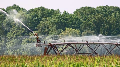    L'irrigation des champs avec des eaux usées appelée à se développer