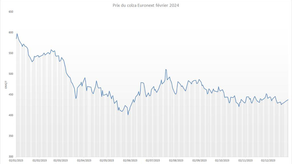 Le colza Euronext a enregistré de nettes pertes en 2023. Le colza Euronext a enregistré de nettes pertes en 2023.