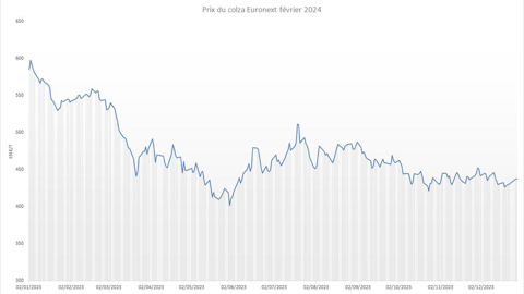 Le colza Euronext a enregistré de nettes pertes en 2023.