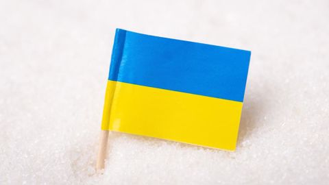 L'Union européenne a importé plus de 400 000 t de sucre blanc sur la campagne 2022/23, contre environ 22 000 en moyenne avant la guerre.