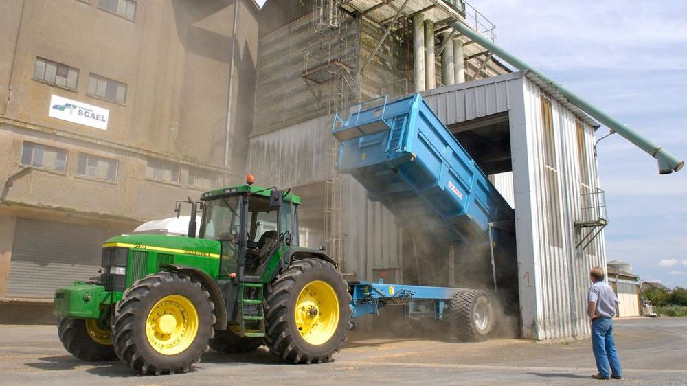 Déchargement d une benne de blé pendant la moisson à la coopérative Scael
