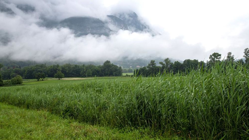 Paysage agricole