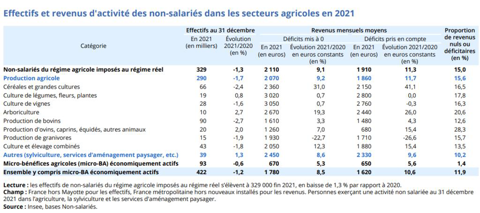 Effectifs et revenus activité des non-salariés