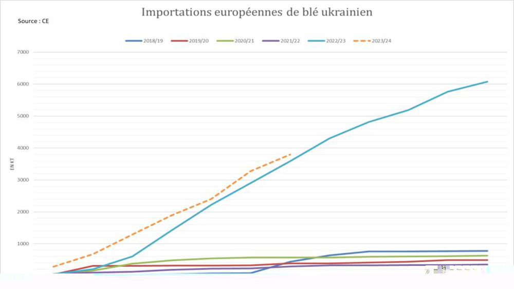 Les importations européennes de blé ukrainien conservent un rythme record.
