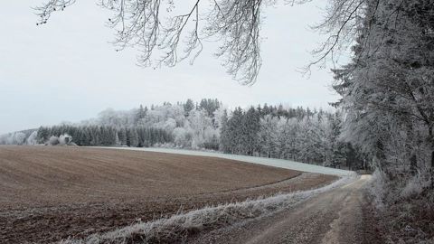 Régionalement, janvier a été plutôt froid de la Bretagne au Bassin Parisien jusqu’à la frontière belge, doux dans le Sud jusqu’en Franche-Comté, de saison ailleurs. Régionalement, janvier a été plutôt froid de la Bretagne au Bassin Parisien jusqu’à la frontière belge, doux dans le Sud jusqu’en Franche-Comté, de saison ailleurs.