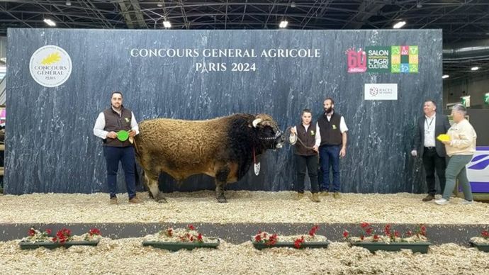 Narquois, le champion de la race Aubrac