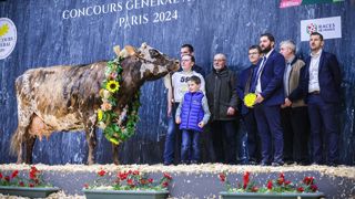 Comme en 2023, Hamada est sacrée grande championne de la race Normande au Salon de l'agriculture. Comme en 2023, Hamada est sacrée grande championne de la race Normande au Salon de l'agriculture.