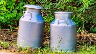 Le prix du lait en 38/32 s’est globalement stabilisé entre 430 et 440 €/1 000 l en 2023, d'après les données de FranceAgriMer. Le prix du lait en 38/32 s’est globalement stabilisé entre 430 et 440 €/1 000 l en 2023, d'après les données de FranceAgriMer.