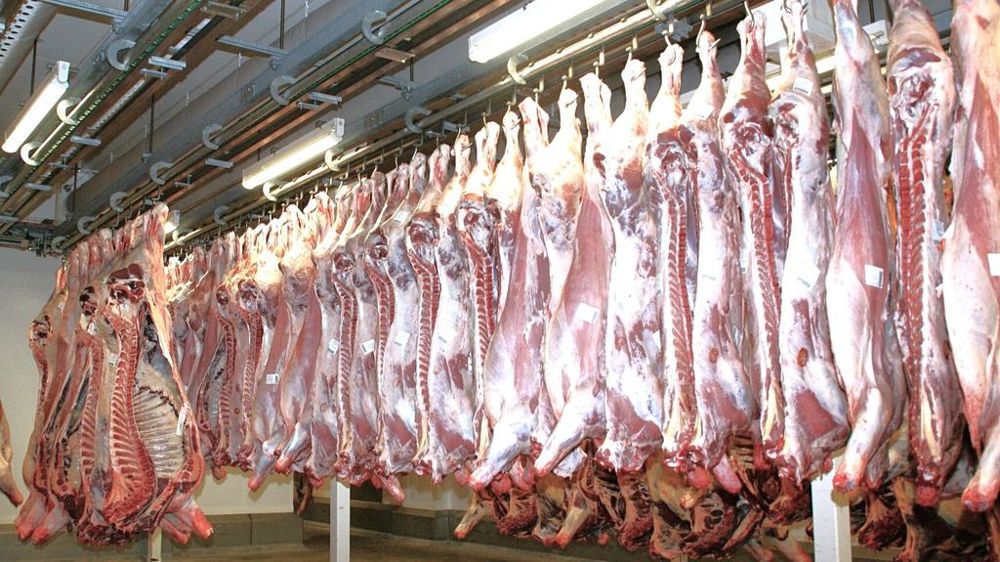 Abattoir