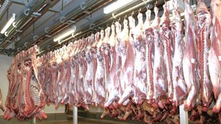 La décapitalisation bovine et l'inflation conduisent de plus en plus d'abattoirs à déposer le bilan, déplore Culture Viande. La décapitalisation bovine et l'inflation conduisent de plus en plus d'abattoirs à déposer le bilan, déplore Culture Viande.