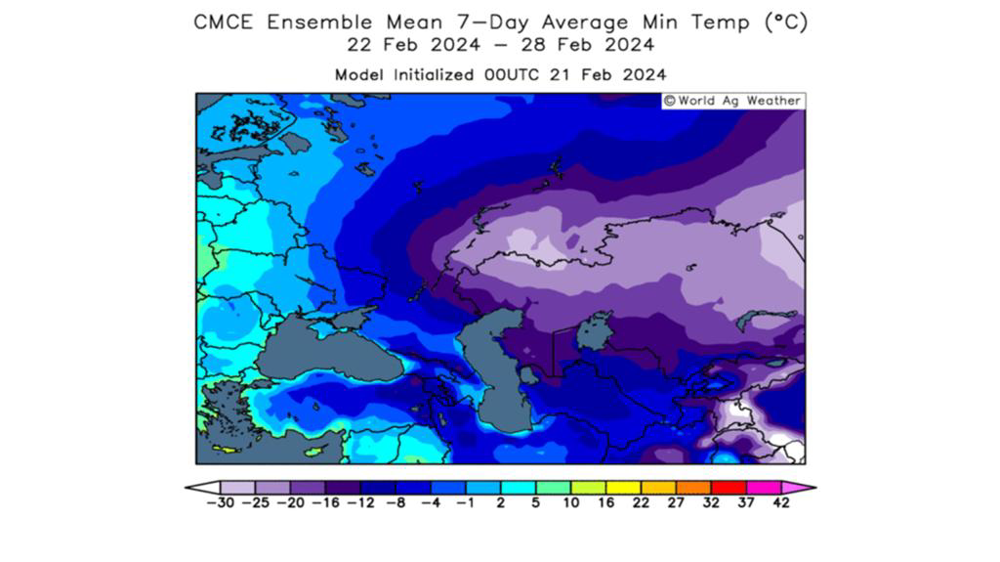 Le blé d'hiver en Russie devrait être épargné par les dégâts de gel.