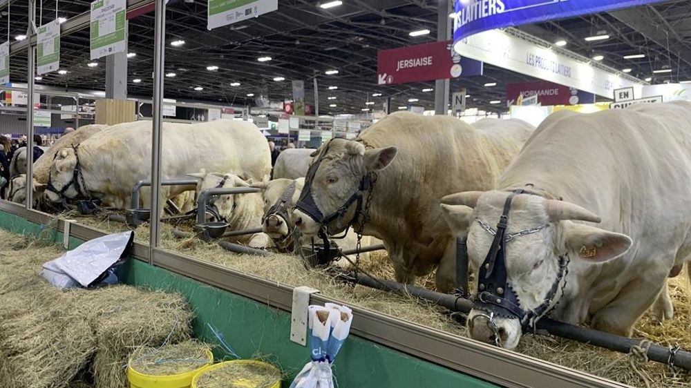 Allées du salon de l agriculture