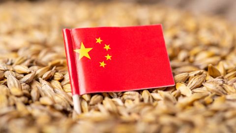 Des acheteurs chinois viennent d'acheter des orges françaises, australiennes et ukrainiennes. Des acheteurs chinois viennent d'acheter des orges françaises, australiennes et ukrainiennes.