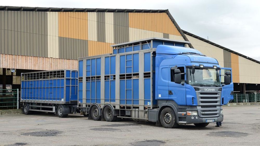 Camion de transport danimaux