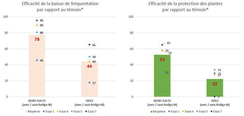 Synthèse des tests de fréquentation des projets de traitement de semence de Bayer sur maïs contre les corbeaux.