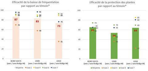 Synthèse des tests de fréquentation des projets de traitement de semence de Corteva sur maïs contre les corbeaux.