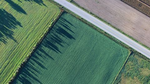La Commission européenne lance une enquête en ligne auprès des agriculteurs, en vue du chantier de simplification des règles de la Pac réclamé par les États membres.