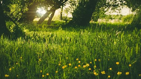 Un temps frais s'impose pour le début de ce printemps météorologique. Un temps frais s'impose pour le début de ce printemps météorologique.