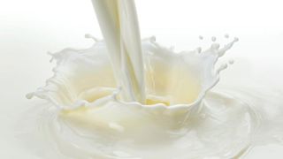 1,23 milliard de litres de lait bio ont été collectés en France en 2023, soit une baisse de 4,5 % par rapport à 2022. 1,23 milliard de litres de lait bio ont été collectés en France en 2023, soit une baisse de 4,5 % par rapport à 2022.