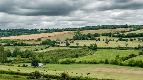 Carbioz va permettre aux entreprises d'acheter des crédits carbone issus d'exploitations agricoles françaises.